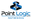 Point Logic Networks logo